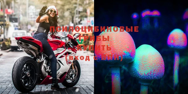 2c-b Балахна