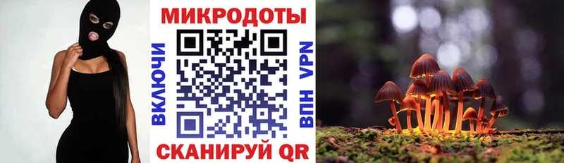 hydra онион Печора Псилоцибиновые грибы Psilocybine cubensis