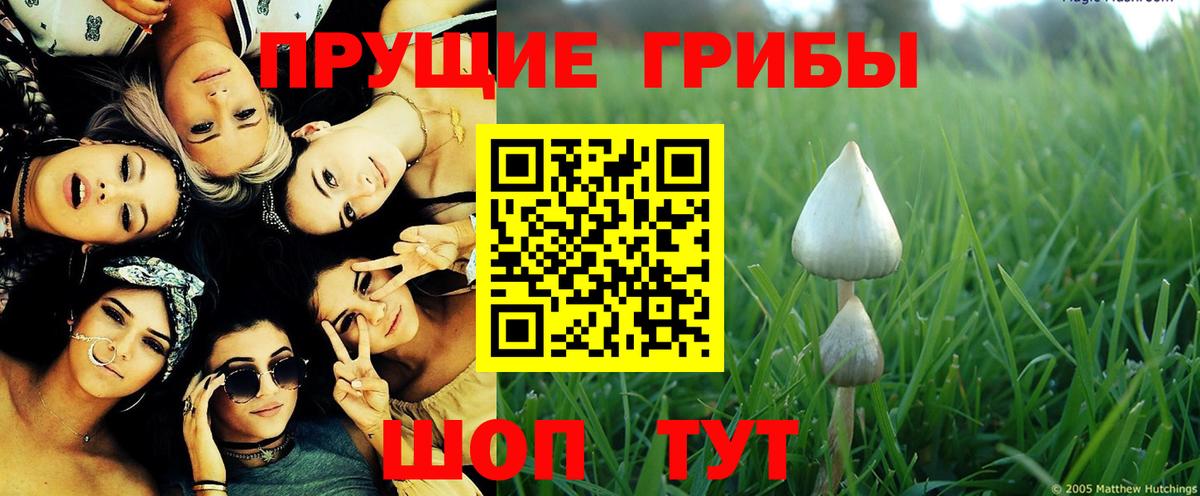 Печора  Псилоцибиновые грибы Psilocybine cubensis  как найти   Вход с VPN  Галлюциногенные грибы ЛСД 