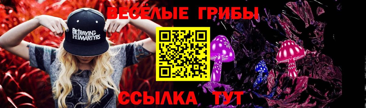 Псилоцибиновые грибы мицелий Печора